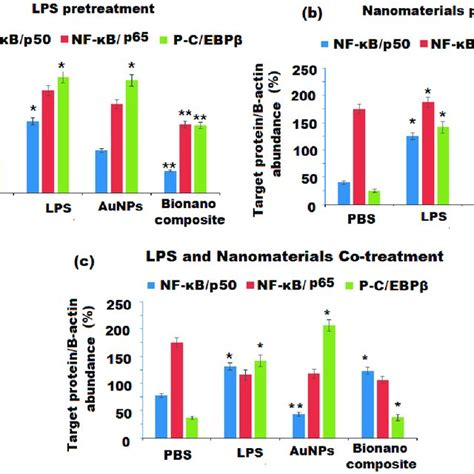 Western blot estimation of NFκB and phospho C EBPβ signaling pathways