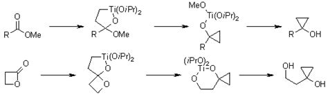 The Kulinkovich Reaction On Lactones A Convenient Approach To