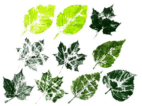 10 Printed Leaf Texture (PNG Transparent) | OnlyGFX.com