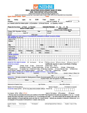 fd application form  english feb sidbi ifinltd fill