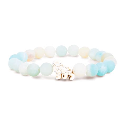 zoo animal tracking bracelet 5