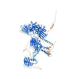 CNTNAP2 Gene GeneCards CNTP2 Protein CNTP2 Antibody