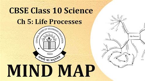 Cbse Class 10 Chapter 5 Science 2023 Mind Map Life Processes Mind Map For Superfast And