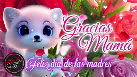 GRACIAS POR SER MI MADRE Feliz día mamá Bonito mensaje para desear un