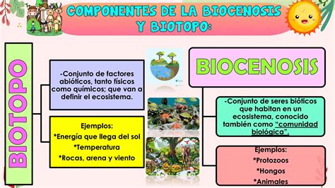 Biocenosis Y Biotopo Ppt