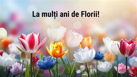 Ur Ri De Florii Fii Ca O Floare Ntoarce I Capul Dup Soare I