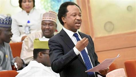 Insecurity Nigeria Under Siege Tragedy Looms Shehu Sani Warns