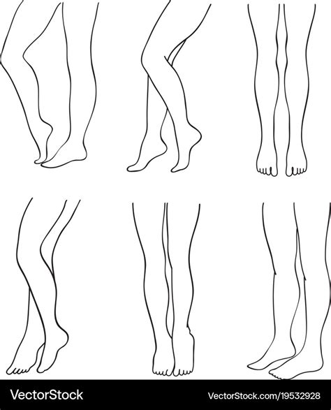 Legs Template