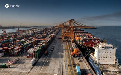 investing  jebel ali area  comprehensive guide  tdabyr