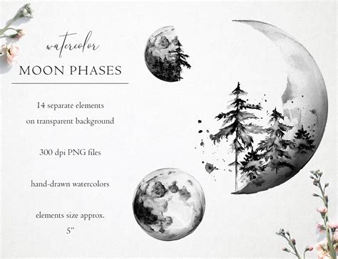 Watercolor Moon Phases Clipart Watercolor Phases of the Moon - Etsy