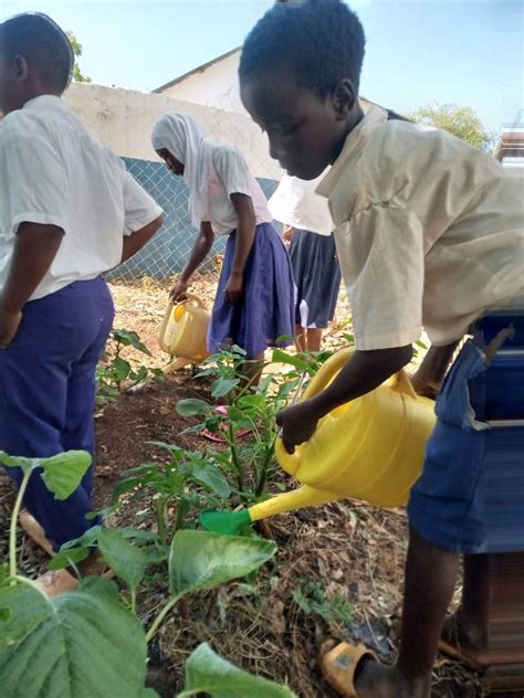 feeding hungry people  funzi bodo trust