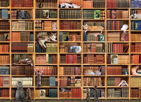 The Cat Library Cats Jigsaw Puzzle Jigsaw Puzzles Online 1000 Piece