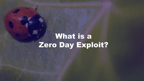 What is a Zero Day Exploit? - AskCyberSecurity.com