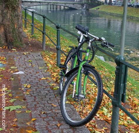 My green movement | Michele Roohani