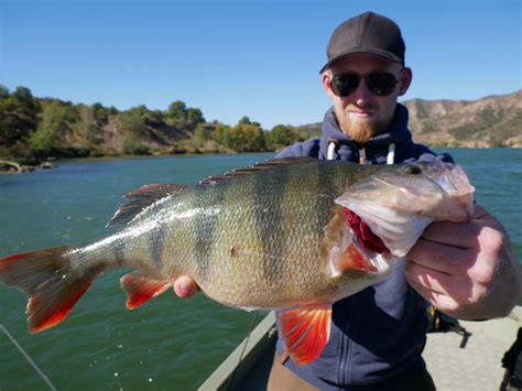 Vollmondtour Im Oktober Am Ebro Mit Extreme Ebrofishing Extreme