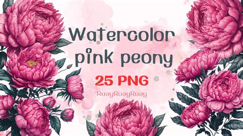 Watercolor pink peony V2