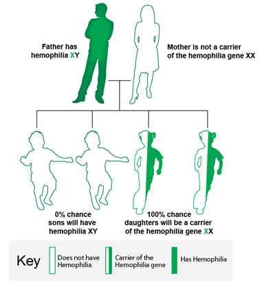 How Hemophilia is Inherited | Hemophilia | NCBDDD | CDC