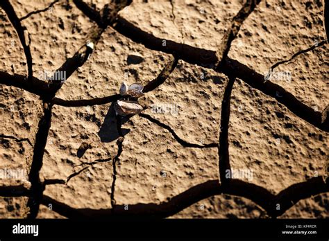 Cracks In Drought Affected Earth Stock Photo Alamy