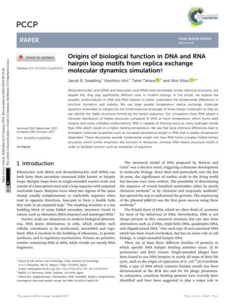 origins  biological function  dna  rna hairpin loop motifs