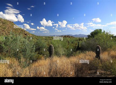 Desert landscape in Arizona Stock Photo - Alamy