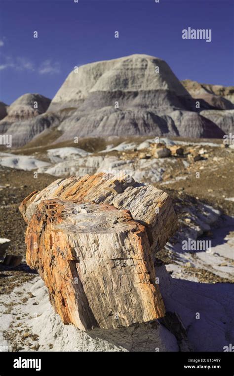 Petrified Wood And Badlands Blue Mesa Trail Petrified Forest National