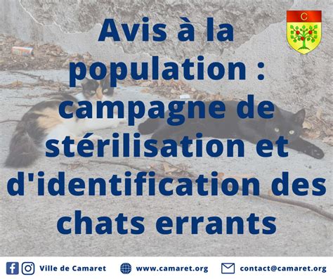 Avis La Population Campagne De St Rilisation Et D Identification