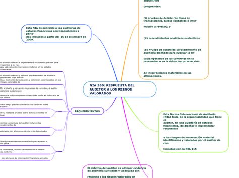 Nia Respuesta Del Auditor A Los Riego Mind Map