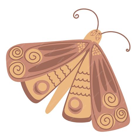 moth clipart  clipart library