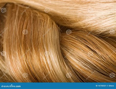 Human Hair Texture Stock Image Image Of Detail Close 16750321