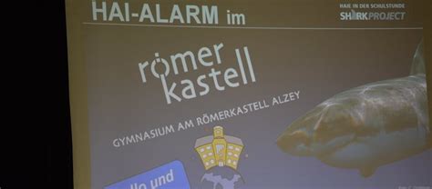 Hai Alarm Im R Merkastell Gymnasium Am R Merkastell Alzey