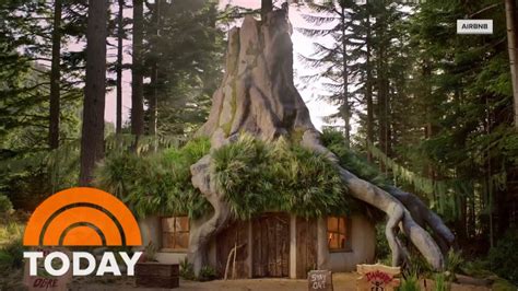 Spend A Night In Shreks Swamp How You Can Book A Stay Youtube