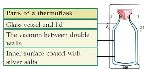 Which Part Of A Thermos Flask Prevents The Loss Of Heat By Radiation