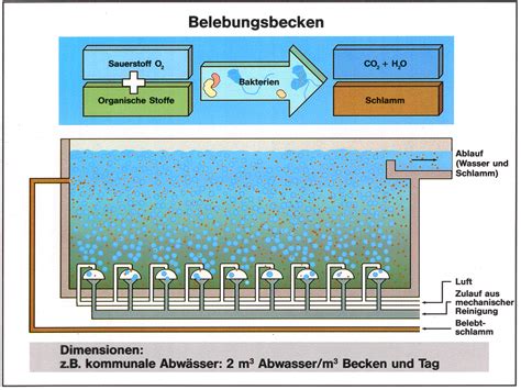 Belebungsanlagen Belebungsbecken