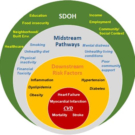 Social Determinants Of Health And Cardiovascular Disease From Upstream