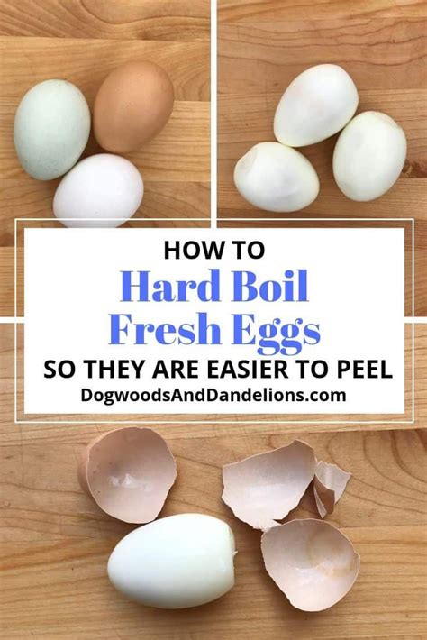 How To Hard Boil Fresh Eggs Niche Recipes