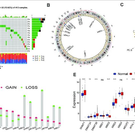 Landscape Of Genetic Alteration And Transcriptome Variation Of Dna Download Scientific