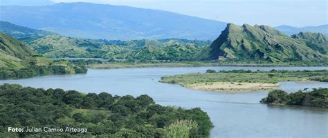 Ecosistemas Y Territorios Del Embalse De Betania Fundaci N Humedales