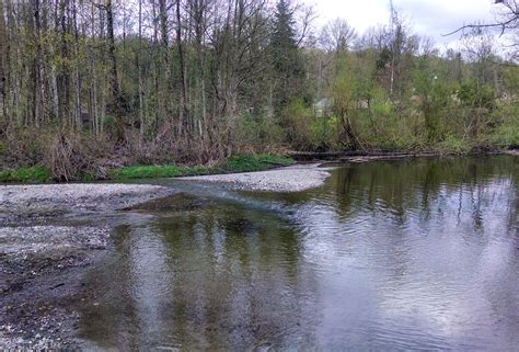 Swan Creek Wetland Delineation Scj Alliance