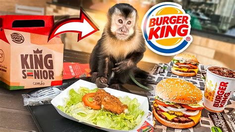 Levei Meu Macaco Eron No Burguer King E Todos Ficaram Impressionados