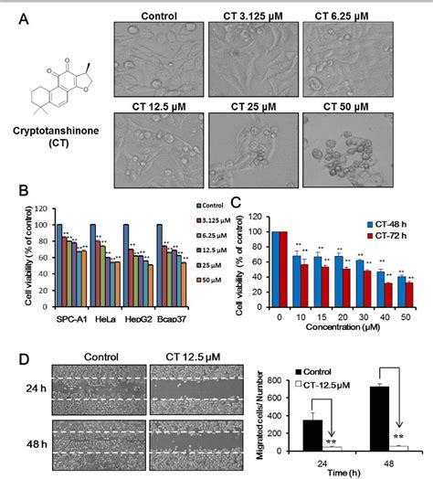 Figure 1 From Cryptotanshinone Inhibits Proliferation And Induces