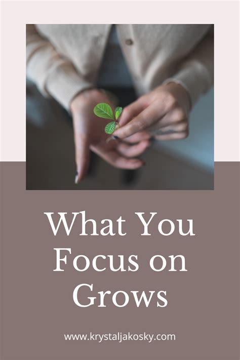 focus  grows weekly musing  krystal jakosky