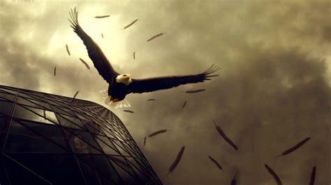 Dark Eagle Wallpapers - Top Free Dark Eagle Backgrounds - WallpaperAccess