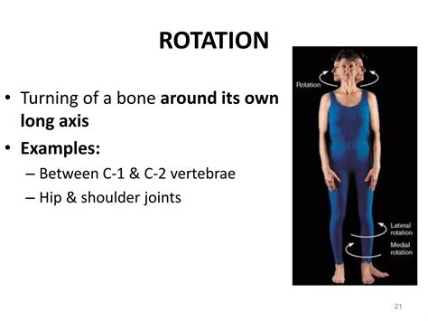 Joints and movements | PPT