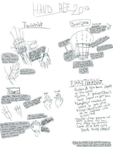 Hand Anatomy Reference by Malzberry on DeviantArt