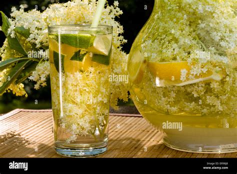 Elder Lemonade Healthy And Refreshing Summer Drink Stock Photo Alamy