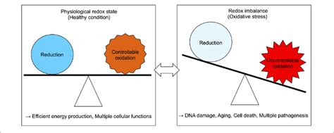 Physiological And Pathological Cellular Redox State Download