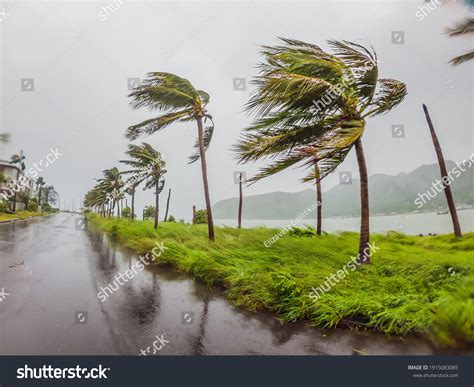 1,086 Typhoon Damage Asia Images, Stock Photos & Vectors | Shutterstock