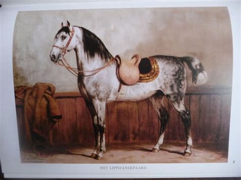 E A L Quadekker Paardenrassen Kunstalbum Otto Eerelman Catawiki