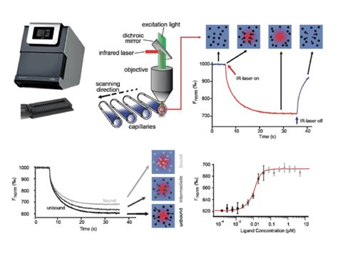 Microscale Thermophoresis MST Sygnature Discovery