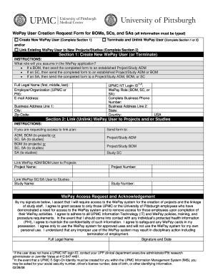 Fillable Online Cfo Pitt Study Aide Editable PDF Form University Of